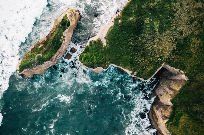 Explore Dunedin: Self-Guided Audio Tour Adventure - Timing, walking effort, and the Otago Peninsula question