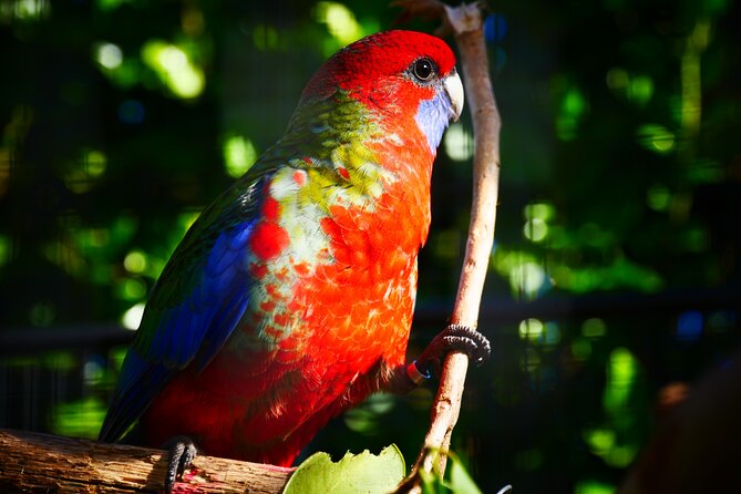 Explore gardens & galleries filled with incredible art, Matakana - How the 1.4km route feels in practice