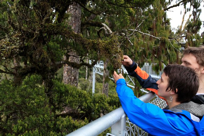 Explore Hokitika Gorge and Tree Top Walkway - Hokitika Gorge and its bright turquoise water