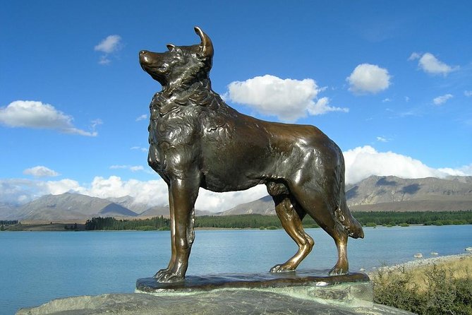 Explore Mount Cook from Christchurch - Guides, commentary, and group size