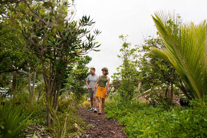 Explore the legacy of artist, ecologist, architect, visionary - How long to allow and how to plan your visit