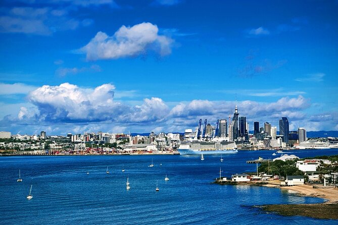 Explore West Auckland with Winery - The lunch question deserves attention