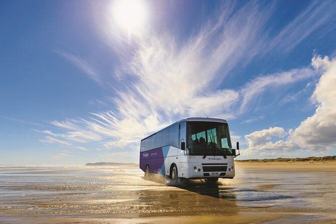 Far North New Zealand Tour Including 90 Mile Beach and Cape Reinga from Paihia - Why Cape Reinga is worth the long ride