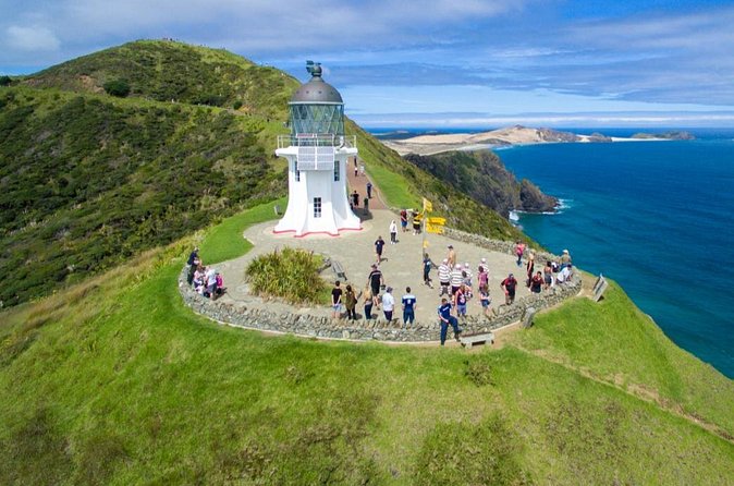 Far North New Zealand Tour Including 90 Mile Beach and Cape Reinga from Paihia - Practical advice for a smoother day