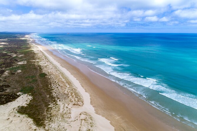 Far North New Zealand Tour Including 90 Mile Beach and Cape Reinga from Paihia - Riding the sand at 90 Mile Beach