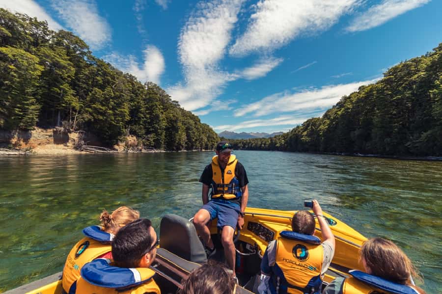 Fiordland: Jet Boat & Nature Walk Experience from Te Anau - Spotting trout in the Waiau’s clear water