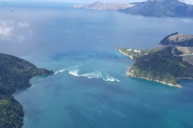 Flight Experience our Water and Wilderness Scenic Tour - Why an aerial view works so well in the Marlborough Sounds