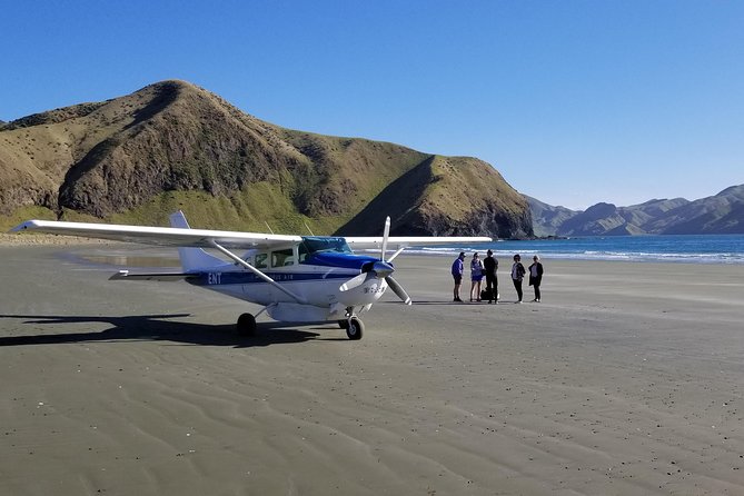 Flight Experience our Water and Wilderness Scenic Tour - The remote beach landing is the tour’s signature moment