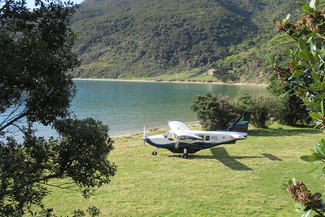 Flight Experience our Water and Wilderness Scenic Tour - Pickup near Picton keeps the outing simple