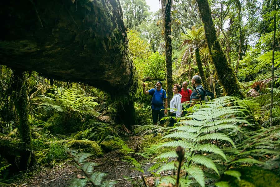 Fox Glacier: Half Day Walking & Nature Tour with Local Guide - How the guides shape the experience