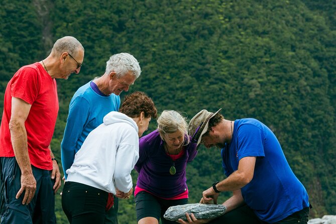 Fox Glacier Nature Tour - The 1:30 pm start and small-group format