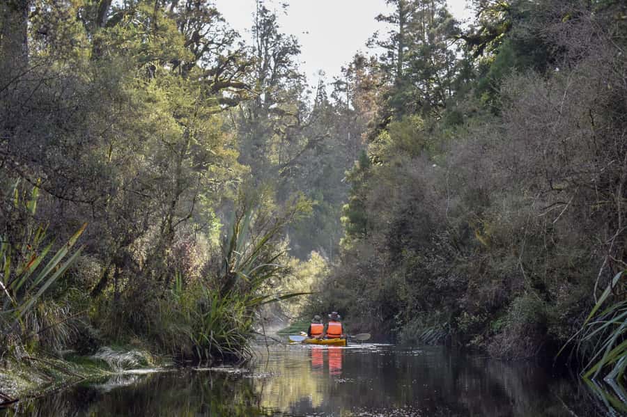 Franz Josef: 3-Hour Kayak Tour on Lake Mapourika - Practical details before you book