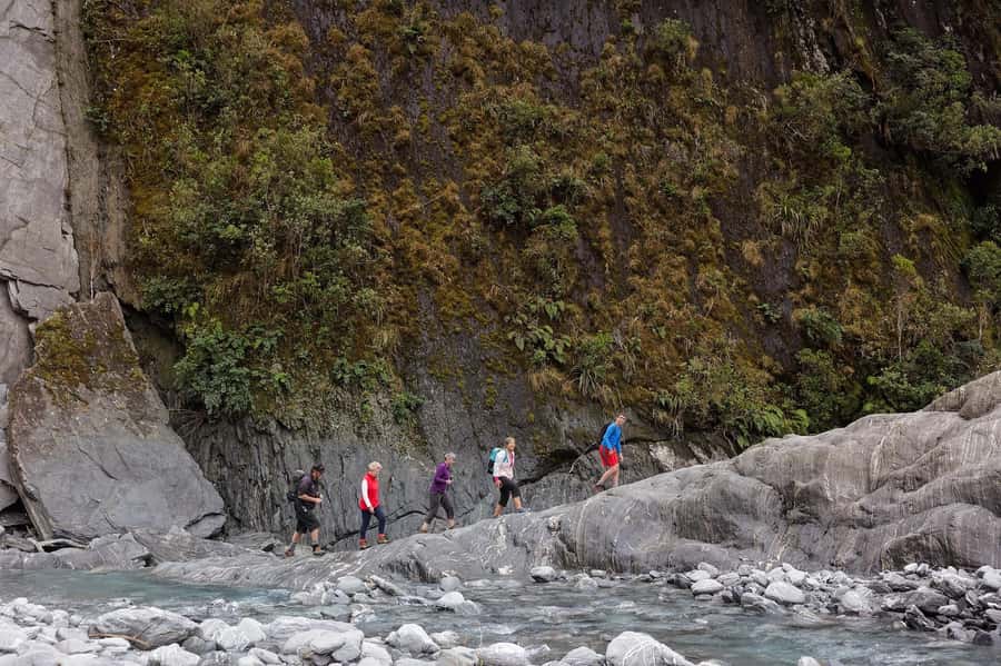 Franz Josef: Franz Josef Glacier Lookout Guided Walk - The 3-hour route through forest, river, and ice country