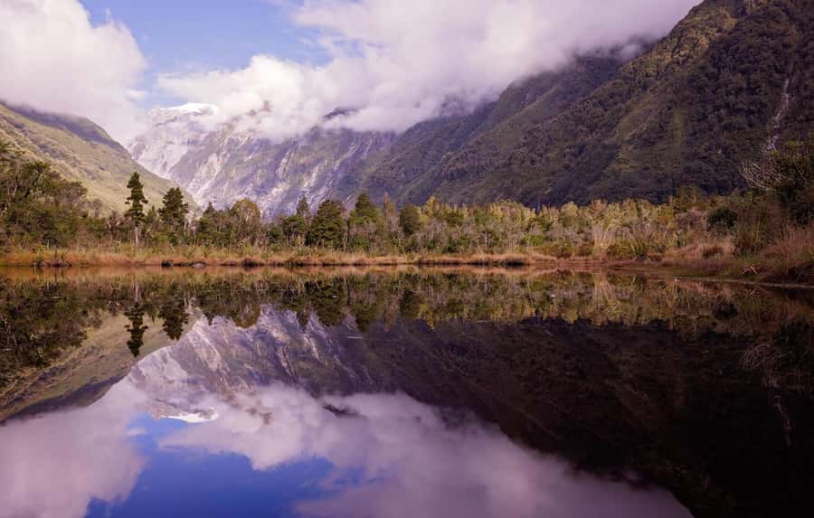 Franz Josef: Franz Josef Glacier Lookout Guided Walk - Why the guides make the difference