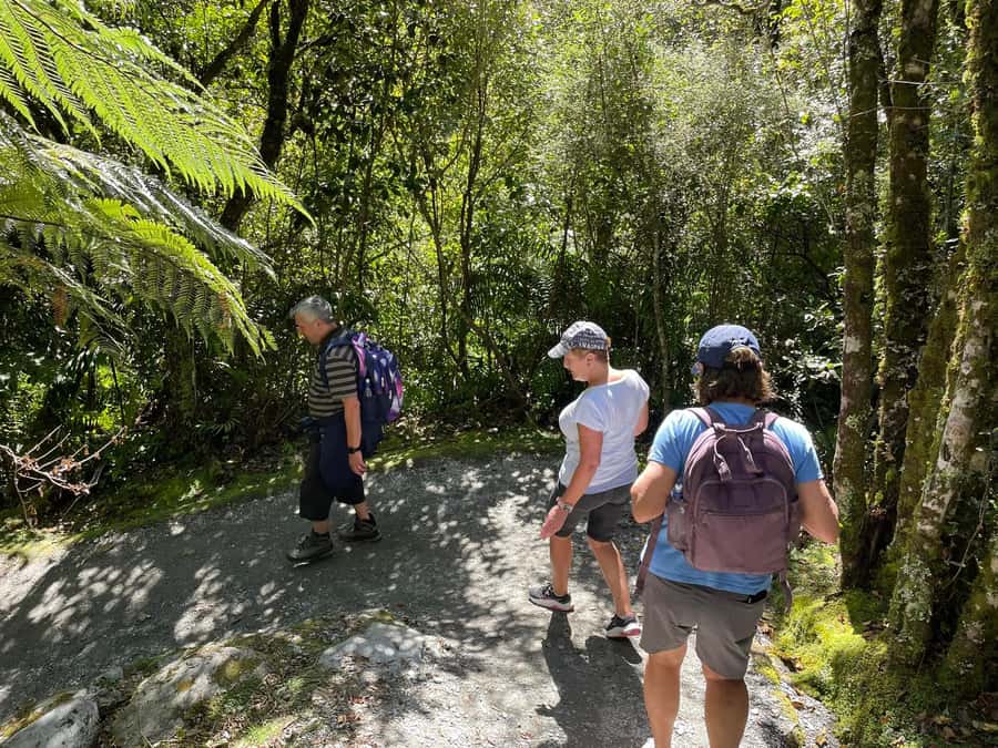 Franz Josef: Franz Josef Glacier Lookout Guided Walk - Rain, mist, and the practical value of supplied gear