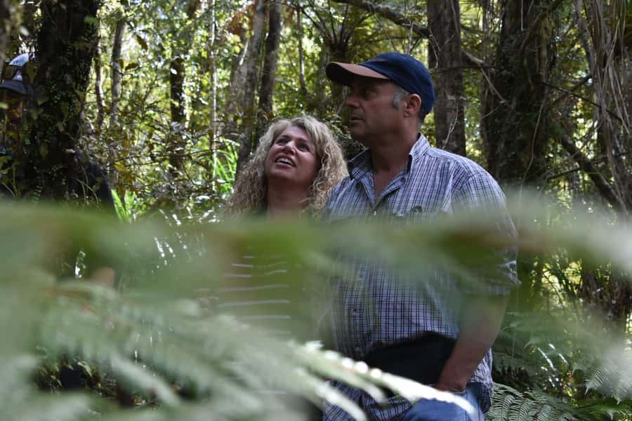 Franz Josef Glacier: 2.5-Hour Lake Mapourika Cruise and Walk - Key points at a glance