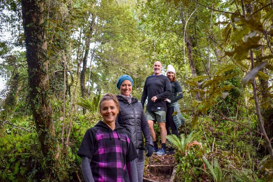 Franz Josef Glacier: 2.5-Hour Lake Mapourika Cruise and Walk - What you may see in the rainforest