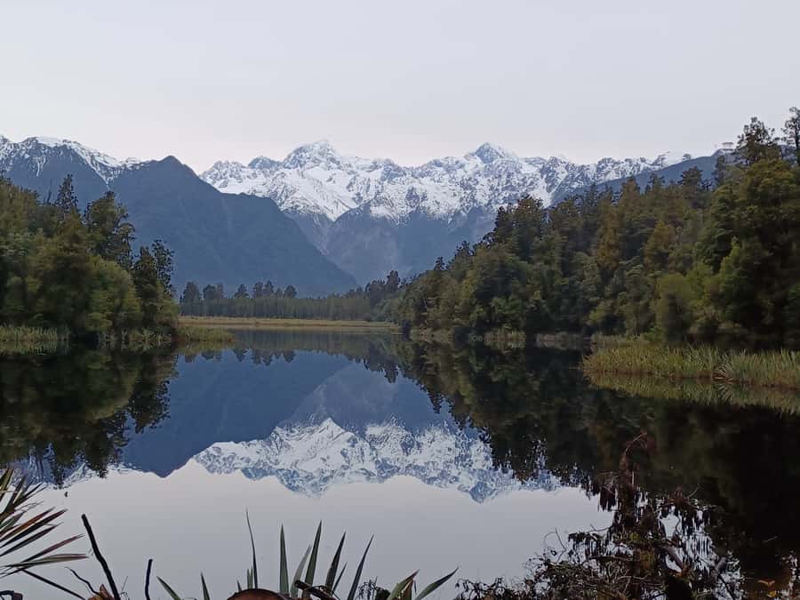 Franz Josef: Half-Day Nature Tour to Lake Matheson - From Franz Josef to Lake Matheson
