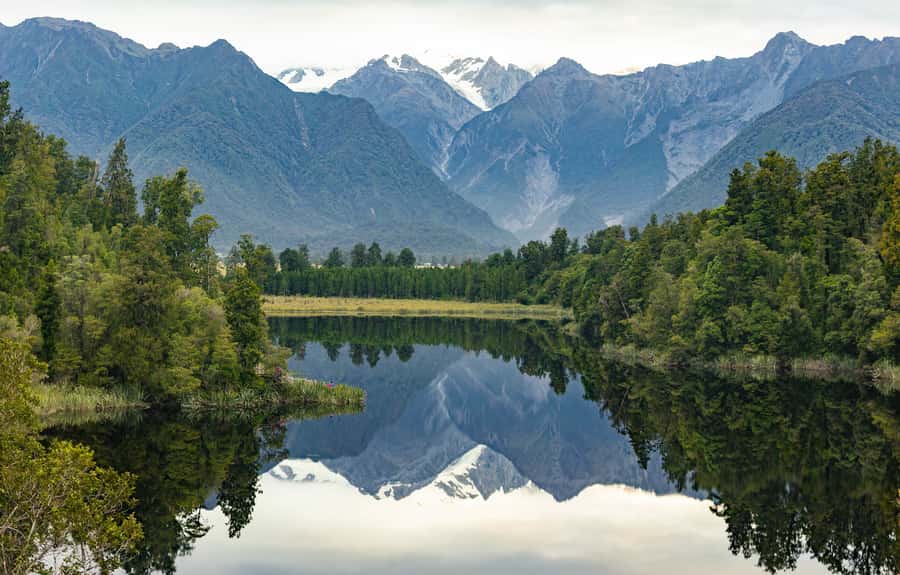 Franz Josef: Half-Day Nature Tour to Lake Matheson - What the guides add to the walk