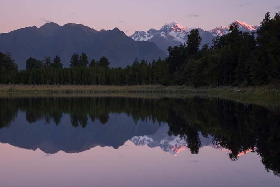 Franz Josef: Half-Day Nature Tour to Lake Matheson - Is $62 good value?