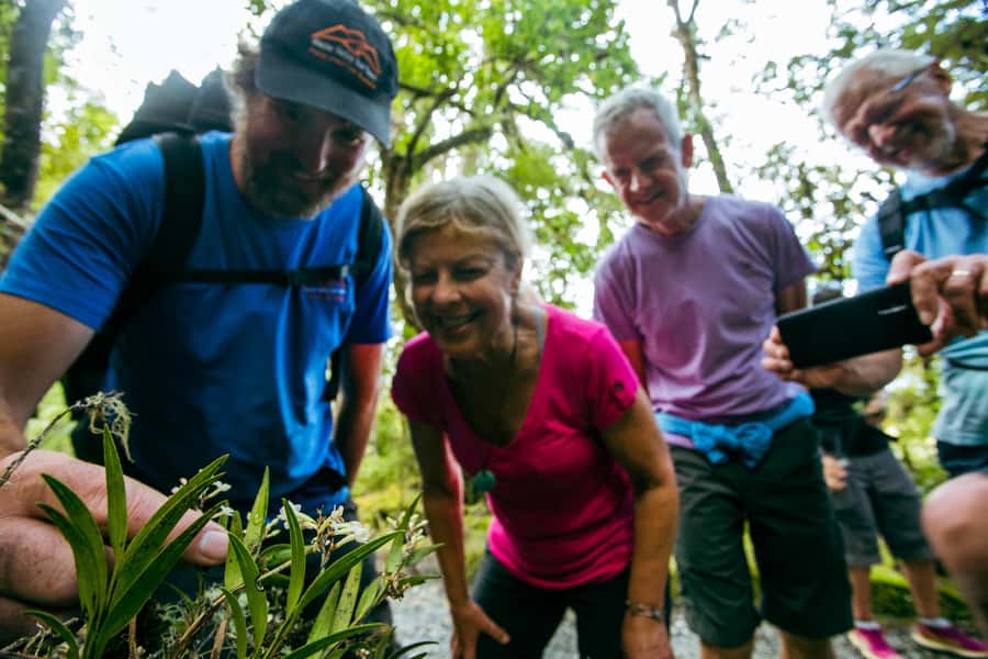 Franz Josef: Half-Day Nature Tour to Lake Matheson - Who should book this walk?