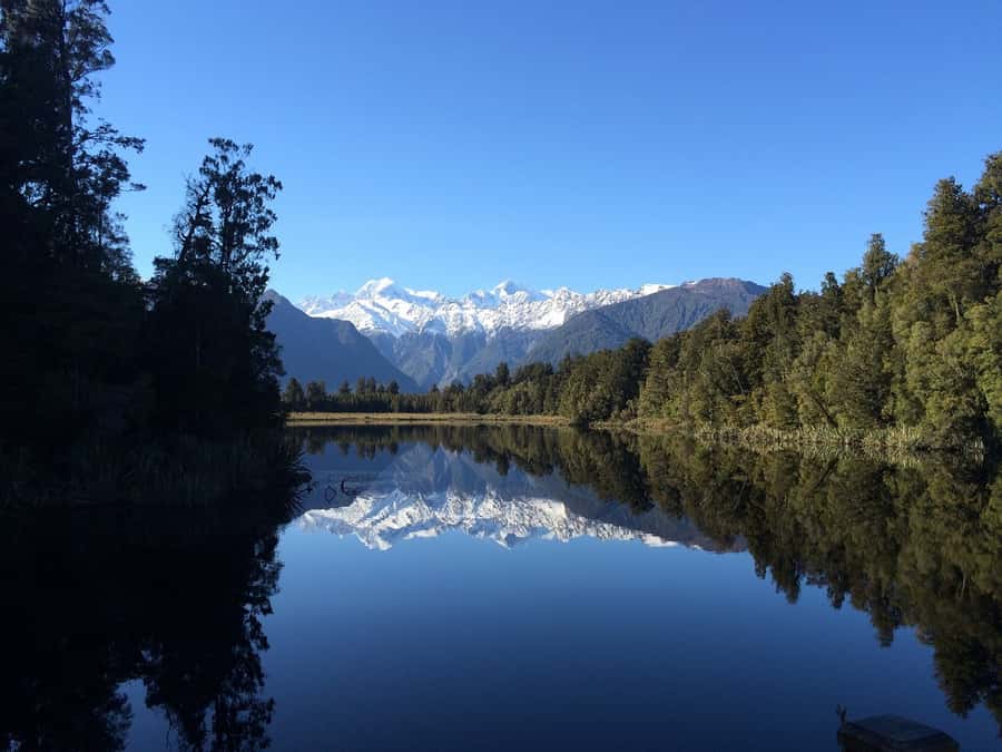 Franz Josef: Half-Day Nature Tour to Lake Matheson - Entering an ancient rainforest