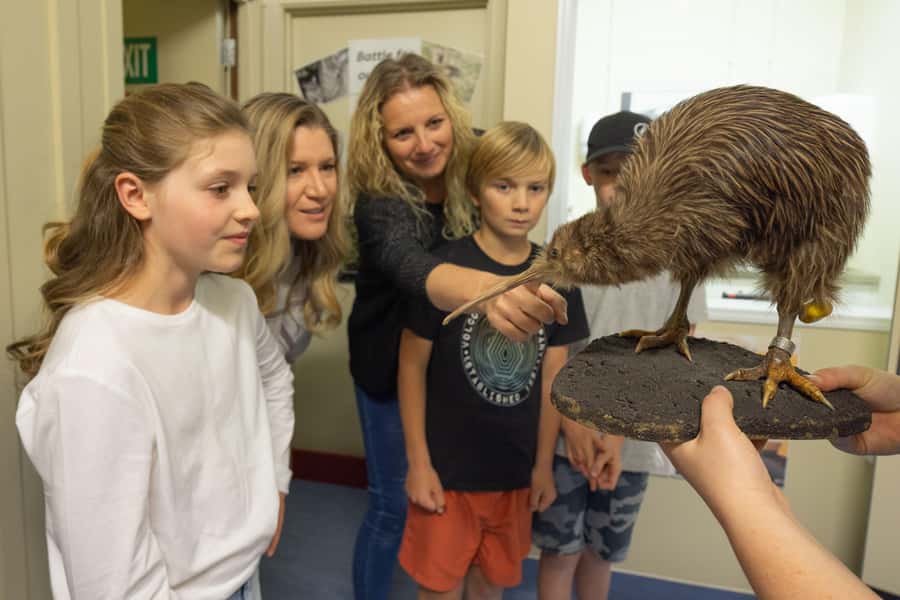 Franz Josef: Kiwi VIP Backstage Pass Tour -Booking Essential - Entering the kiwi incubation facility
