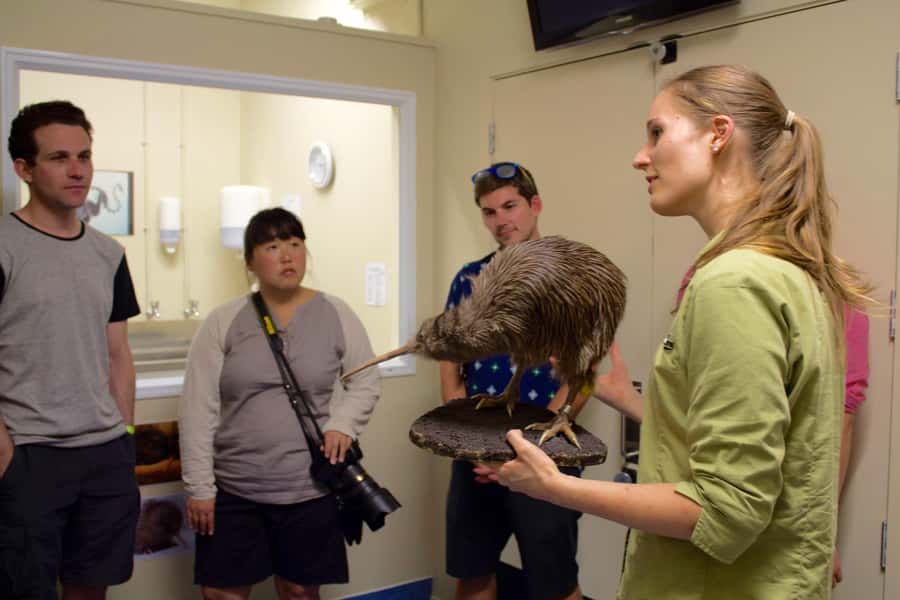 Franz Josef: Kiwi VIP Backstage Pass Tour -Booking Essential - How the experience measures up
