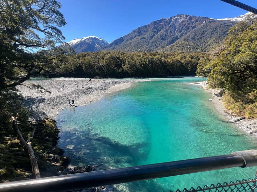Franz Josef to Queenstown small group tour (One-Way) - Wanaka Tree and 15 minutes by the lake