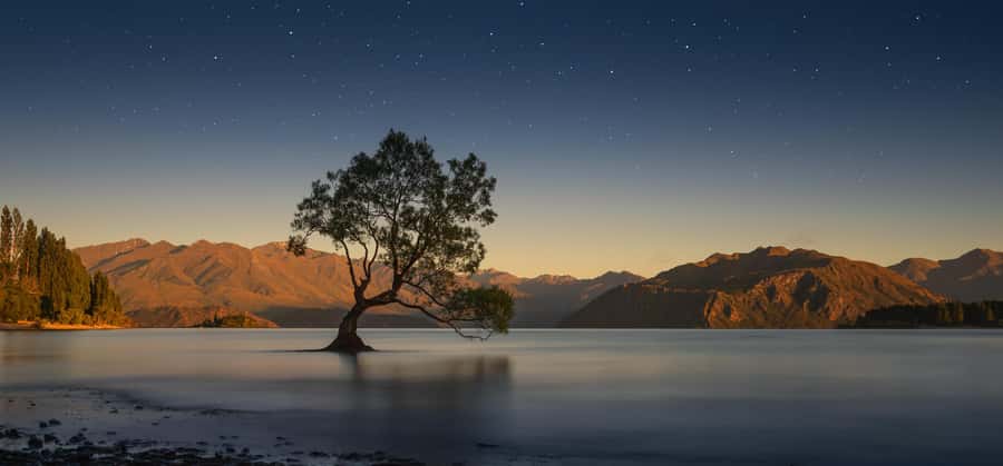 Franz Josef to Queenstown Tour via Wānaka - Key points to know before booking