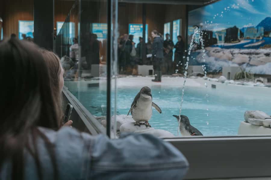 Franz Josef: West Coast Wildlife Centre Entry Ticket -48 hrs - Why this Franz Josef wildlife stop matters