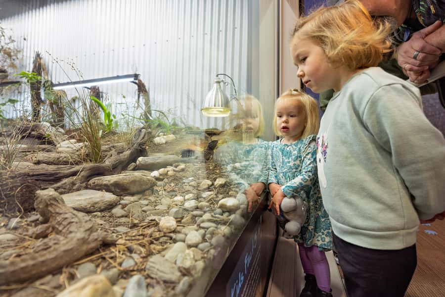 Franz Josef: West Coast Wildlife Centre Entry Ticket -48 hrs - Is the $38 price good value?