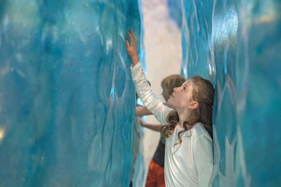 Franz Josef: West Coast Wildlife Centre Entry Ticket -48 hrs - Food, shops, and practical access
