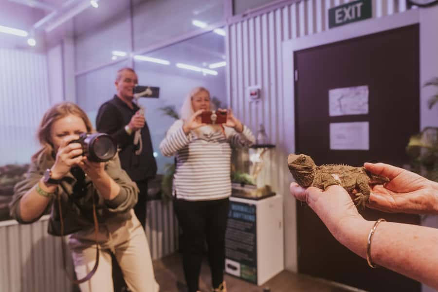Franz Josef: West Coast Wildlife Centre Entry Ticket -48 hrs - The kiwi room and the working hatchery