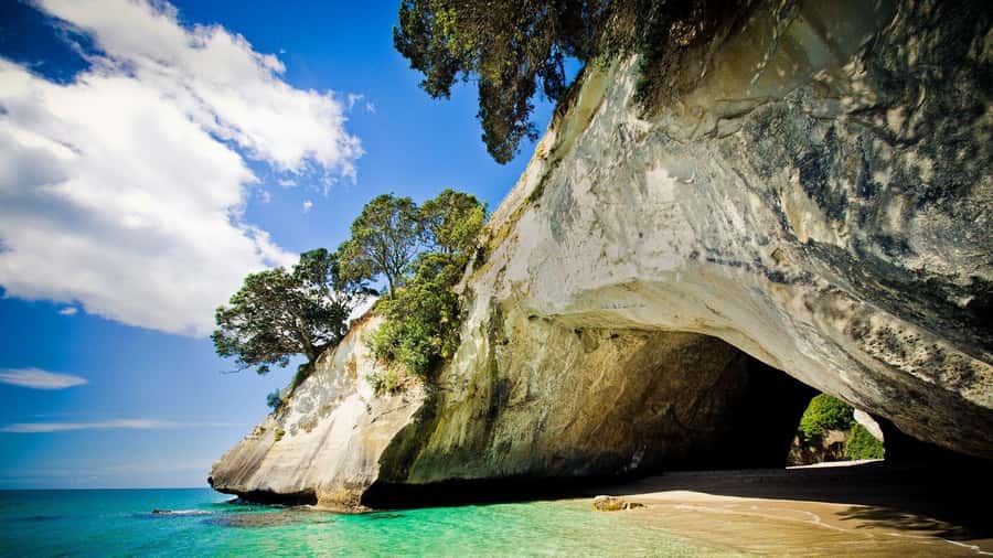 From Auckland: Cathedral Cove & Hot Water Beach Tour - Key points at a glance