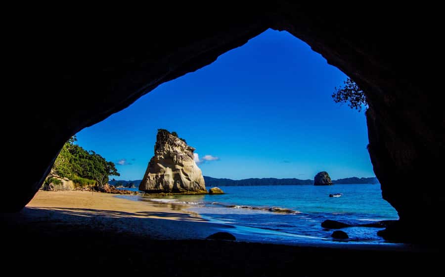 From Auckland: Cathedral Cove & Hot Water Beach Tour - Walking into Cathedral Cove