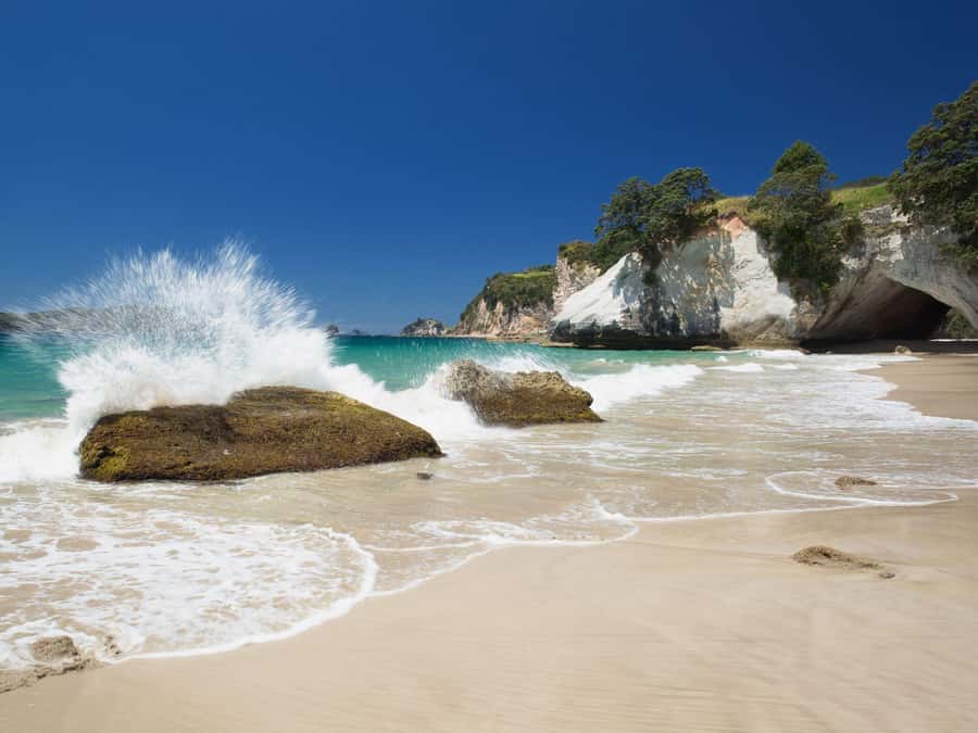 From Auckland: Cathedral Cove & Hot Water Beach Tour - The road south from Auckland