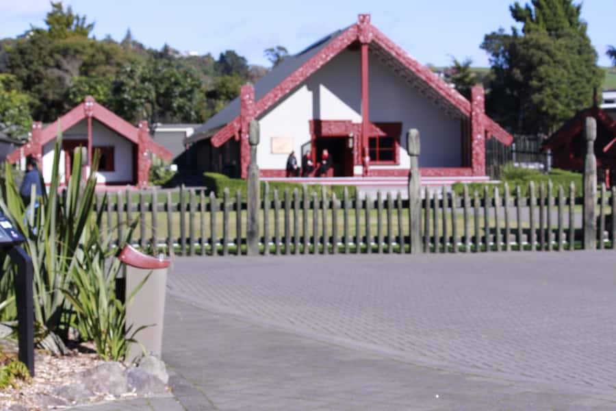 From Auckland: Day Trip to Rotorua with Optional extras - One-way to Rotorua can make the price work harder