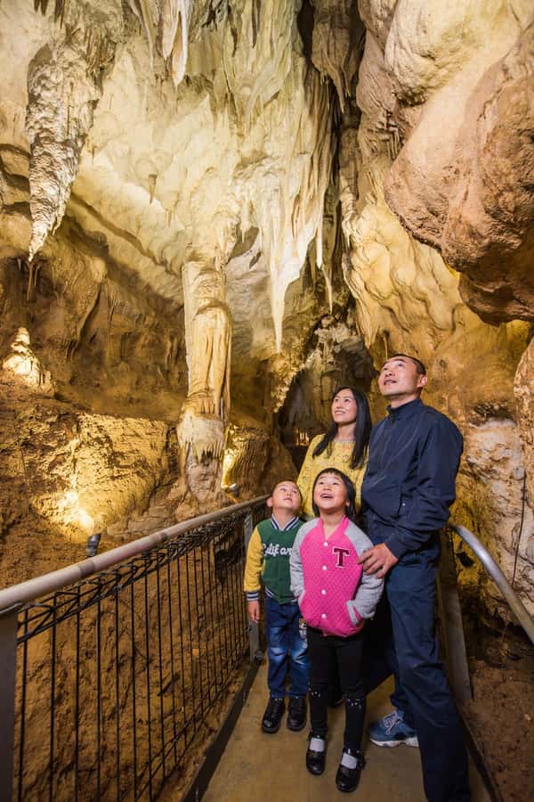 From Auckland: Day Trip to Waitomo Glow Worm Caves - Guide quality can shape the whole day