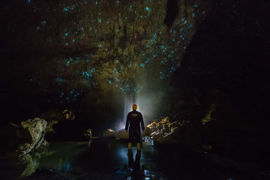 From Auckland: Day Trip to Waitomo Glow Worm Caves - Timing, comfort, and practical details