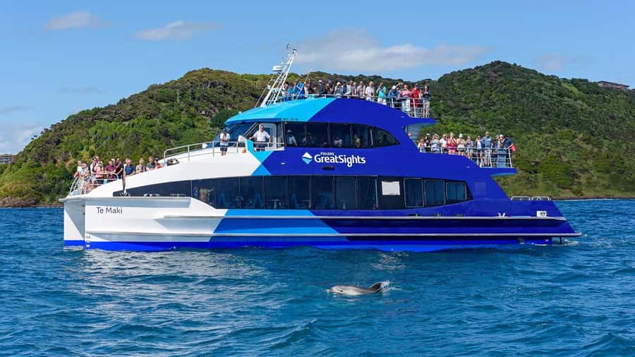 From Auckland: Full Day Private Tour to the Bay of Islands - Should you book it?