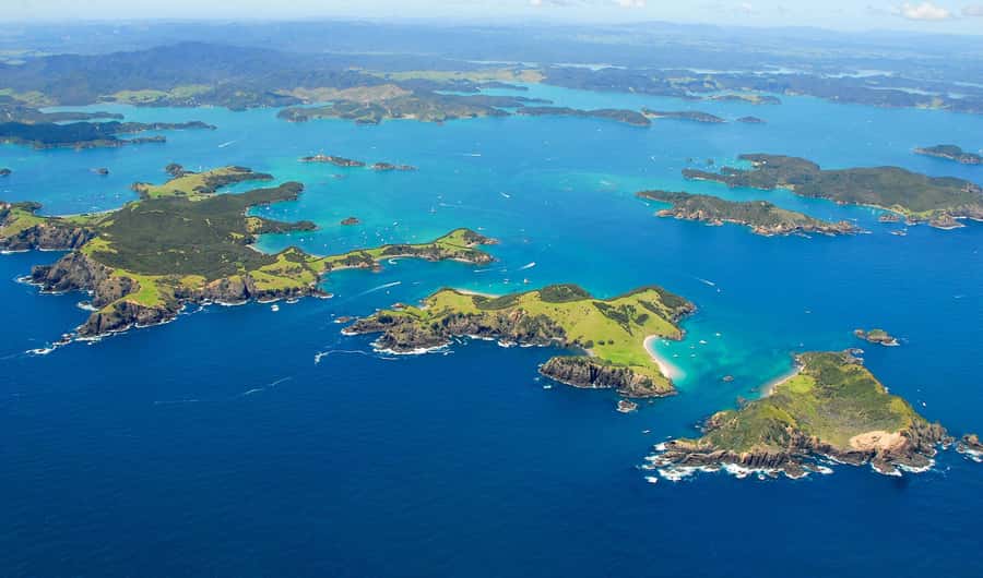 From Auckland: Full Day Private Tour to the Bay of Islands - The Hole in the Rock at Motukokako Island