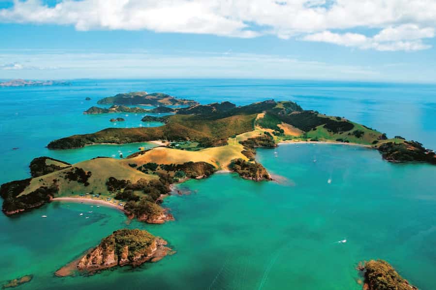 From Auckland: Full Day Private Tour to the Bay of Islands - Is $567 per person good value?