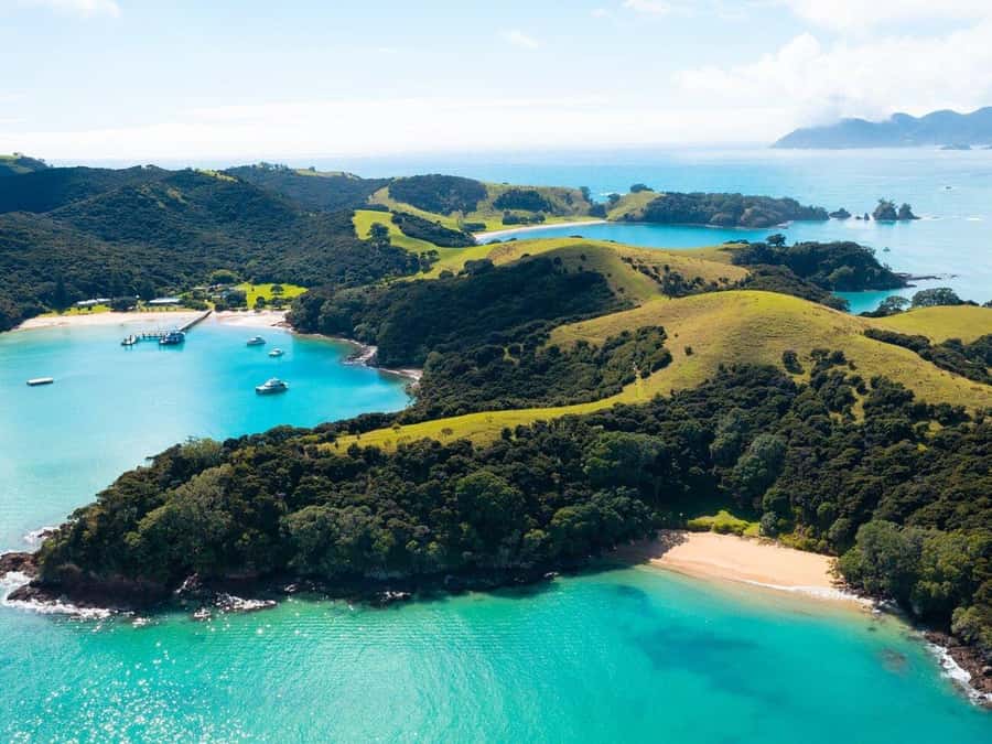 From Auckland: Full Day Private Tour to the Bay of Islands - Who should book this Bay of Islands day trip?
