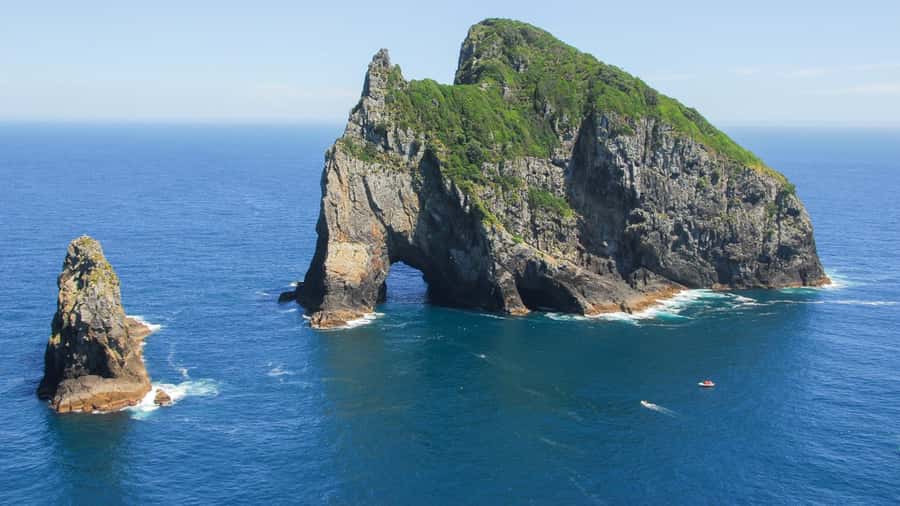 From Auckland: Full Day Private Tour to the Bay of Islands - Practical tips for making the day easier