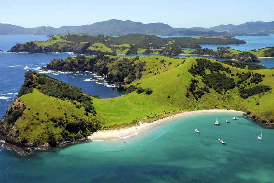 From Auckland: Full-Day Tour to the Bay of Islands - Key points to know before booking