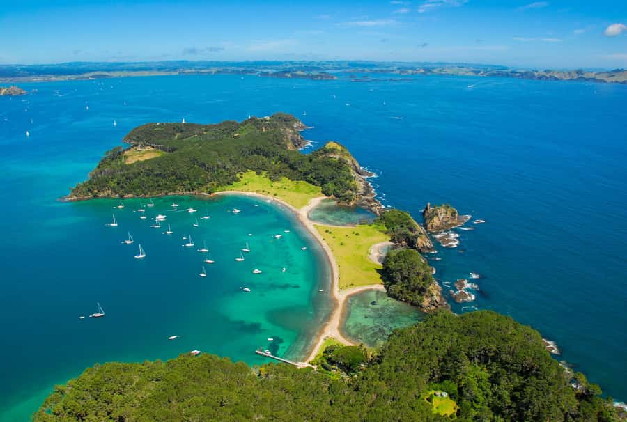 From Auckland: Full-Day Tour to the Bay of Islands - Paihia and the catamaran departure