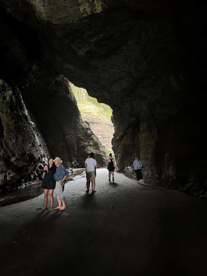 From Auckland: Guided Tour of Piha with Scenic Beach Walks - Why this Piha day trip is worth your time