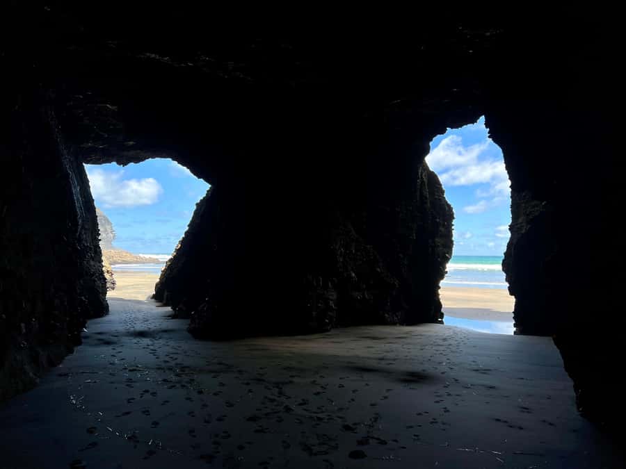 From Auckland: Guided Tour of Piha with Scenic Beach Walks - Value, flexibility, and who should book