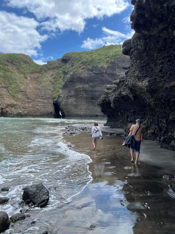 From Auckland: Guided Tour of Piha with Scenic Beach Walks - Leaving Auckland for the Waitakere Ranges